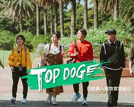 91糖心vlog《TOP DOG》免费在线观看