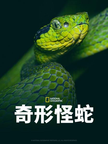 91自拍论坛《奇形怪蛇》免费在线观看